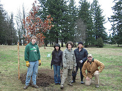 New Scarlet Oaks added to Columbia View Park in Gresham Oregon, Jan 9, 2010 by Friends of Trees volunteers. Info here!