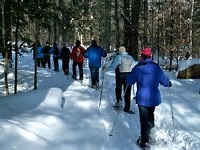Senior Healthy Hikers: Mt. Hood Meadows Snowshoe Hike: Tue Feb 24, 2015 9AM-5PM. Info here!