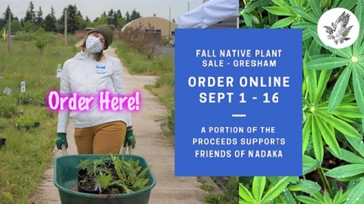 Fall Native Plant Sale - Gresham. Order online Sept 1 - 16, 2020. A portion of the proceeds supports Friends of Nadaka. Info here!