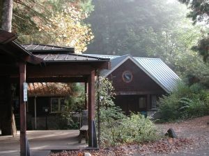 Portland Audubon Wildlife Care Center, Portland OR. Info here!