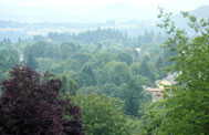 City Needs Your Feedback, Gresham Urban Forestry Management Plan Open House: April 19, 2011 5PM. Info here!