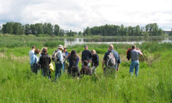 Columbia Slough Watershed Council presents Wetlands 101. Free Workshop at Whitaker Ponds Nature Park: Apr 30, 2011 8:45AM-1PM