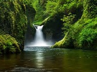 Senior Healthy Hikers: Eagle Creek, Punch Bowl Falls Hike: Tue Oct 28, 2014 8:30AM-3PM<br />
. Info here!