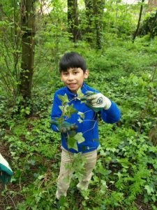 Volunteer! No Ivy Day Cleanup at Nadaka Nature Park; Meet Eddy Morales, City Council Candidate: Sat Oct 27,2018 9AM-12PM. Info here!