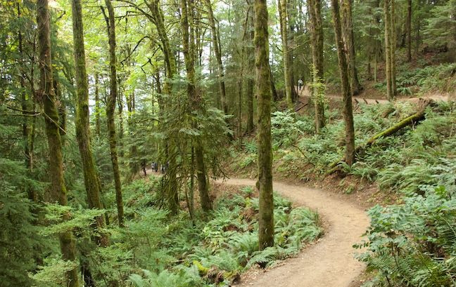 City of Gresham Senior Healthy Hikers, Pearl District to Pittock Mansion Walk: Tue, Nov 26, 2019 9AM-5PM. Let's Go Walking! Info here!