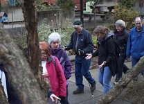 Senior Healthy Hikers: Bethany Village Walk: Wed Nov 19, 2014 10AM-5PM. Senior Healthy Hikers: Bethany Village Walk: Wed Nov 19, 2014 10AM-5PM. Info here!
