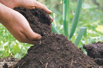 Free Soil & Composting Workshop, Learn how to maintain healthy soil for your garden. Sponsored by SnowCap Community Charities: Jun 4, 2011 10:00AM-12:00PM. Info here!
