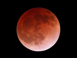 Wake Up to a Total Lunar Eclipse on October 8, 2014! Peaks early Wednesday morning when the earth totally blocks the sun, casting a bold red shadow upon the Moon. Begins 2:15AM PDT, end 5:34AM PDT. Info here!