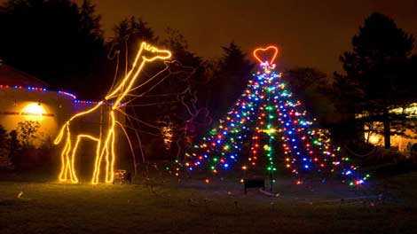 ZooLights is coming to the Oregon Zoo for the 25th year, transforming it into a winter wonderland. Nov 23 thru Dec 31, 2012 5-8PM. Info here!