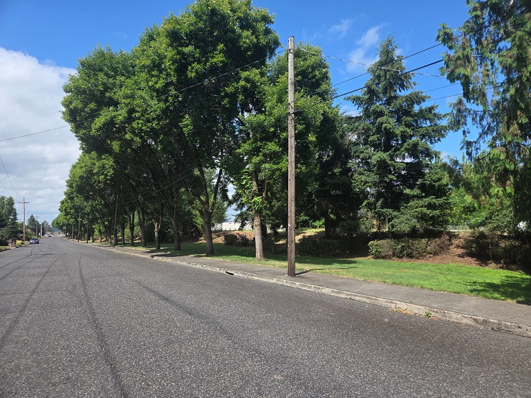 Take The Time To Volunteer And Pickup Trash On Your Walks! Adopt One Block. Take The Time To Volunteer And Pickup Trash On Your Walks! Adopt One Block.
