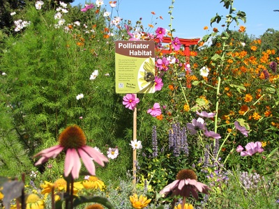 Pollinators for Your Yard: Tue, May 11, 2021 6PM-7:30PM. Free Hands-On Event. Info here!